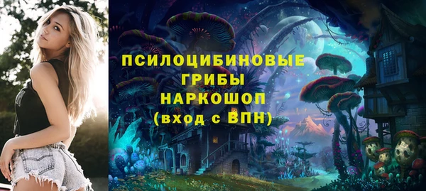 ALPHA-PVP Вяземский
