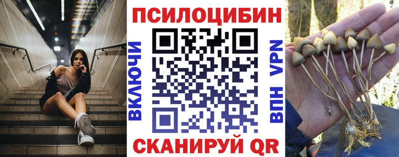 Псилоцибиновые грибы Cubensis  где найти наркотики  Юрюзань 